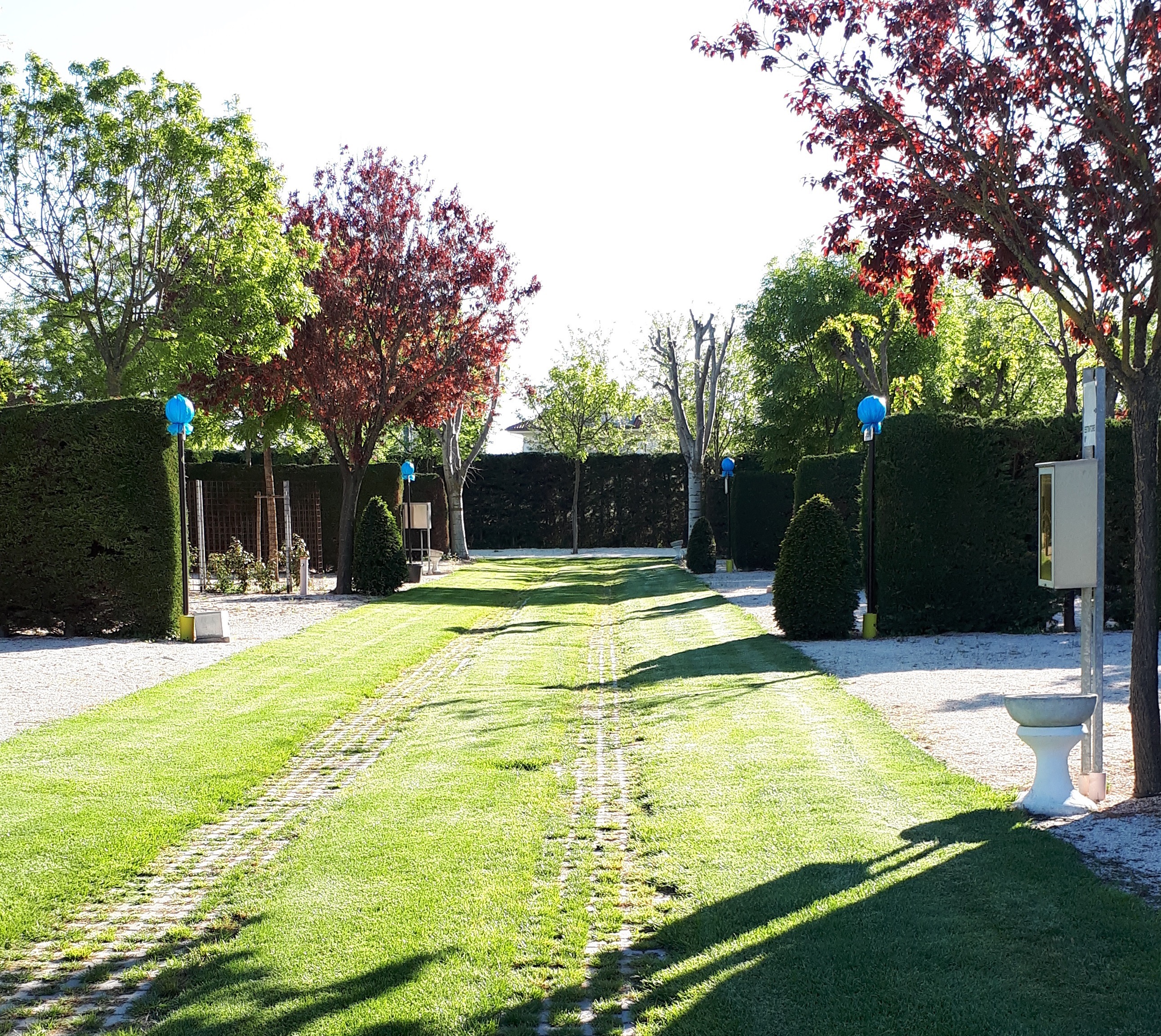 Parking delle Robinie — photo 4