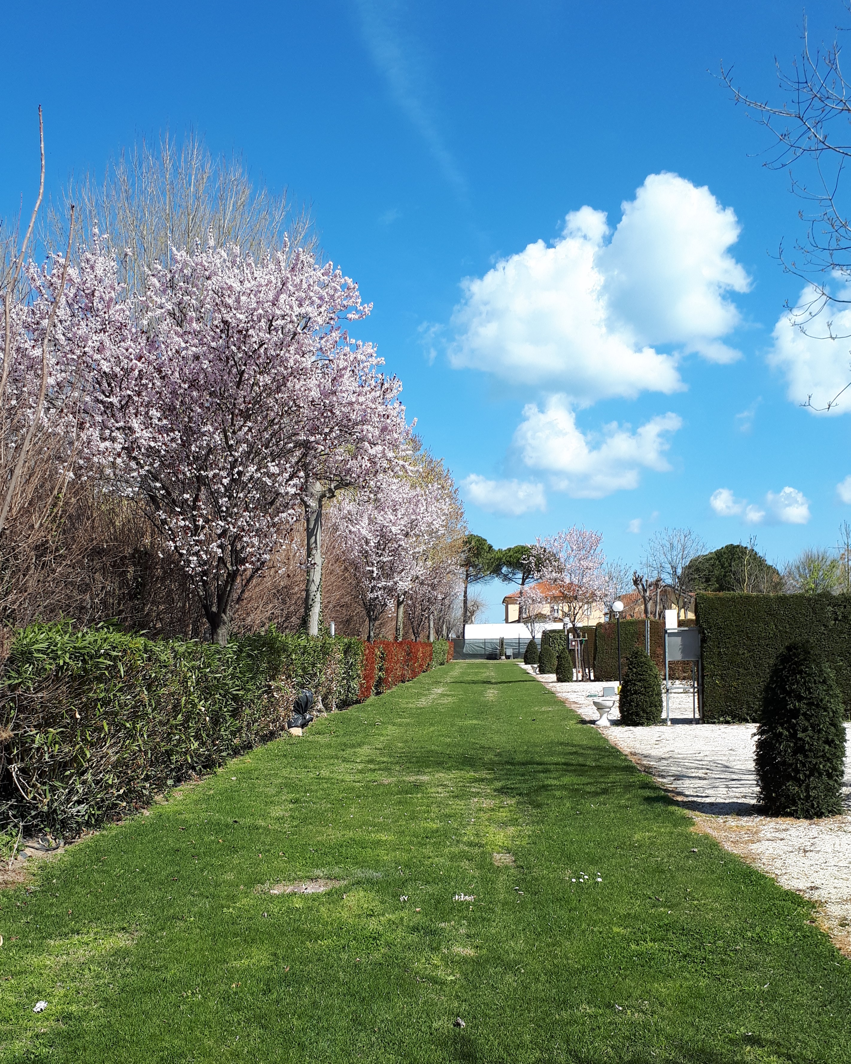 Parking delle Robinie — photo 2